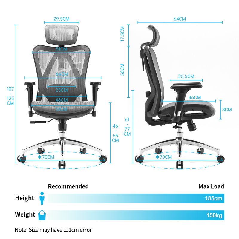 Fauteuil de bureau Sihoo M57