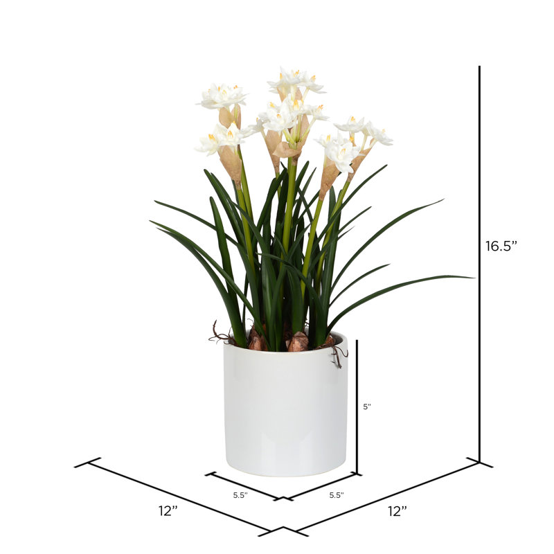 Arrangements floraux de jonquilles et centres de table en pot