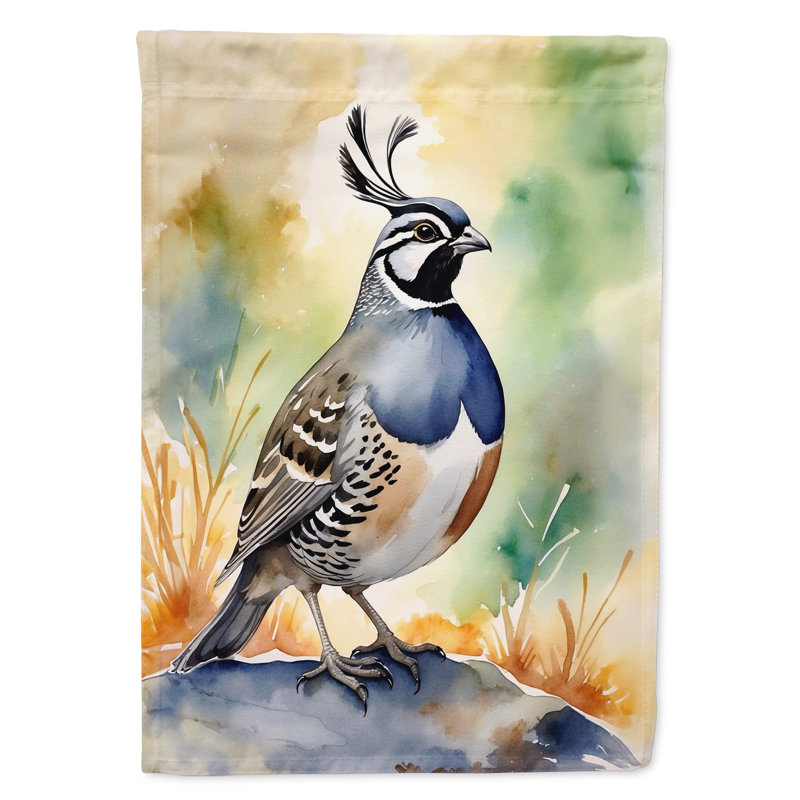 Drapeau de jardin, Caille de Californie