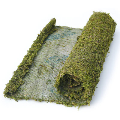 Instant Green All Purpose Moss/Mat Runner