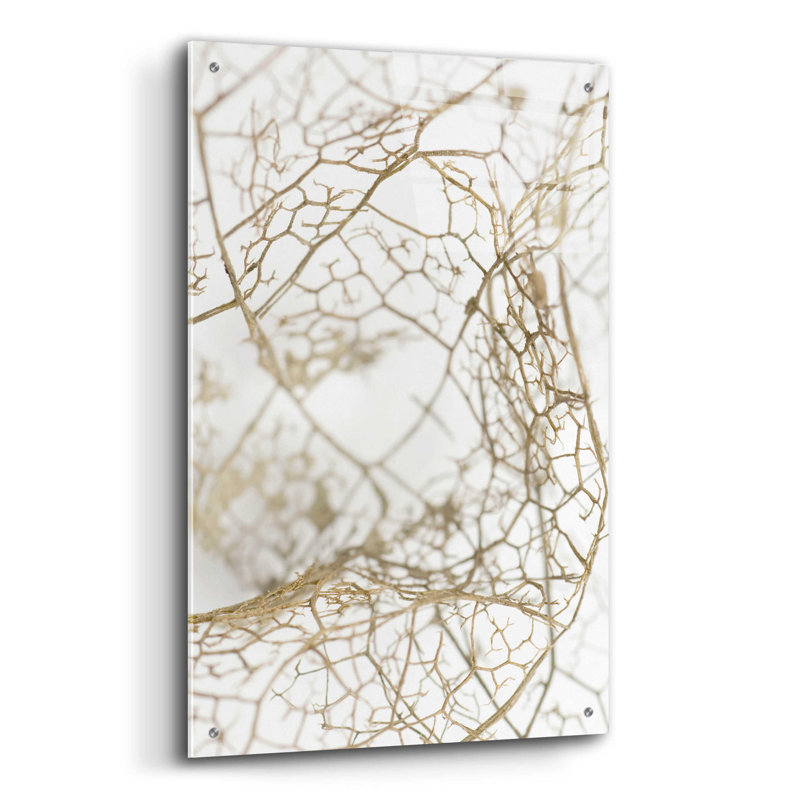 Feuille squelette sur plastique / acrylique par Design Fabrikken, H 36 po x l 24 po x P 0,2 po