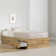 Joed Twin Platforms Bed by Union Rustic