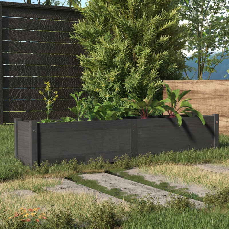 Boîte à fleurs en bois Olyve, gris, H 12,2 po x l 59,1 po x P 12,2 po
