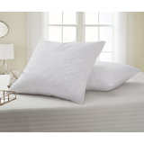 2-Pack 230 Threat Count Gray Feather Euro Square Pillow - 26" Euro Square - By Serta