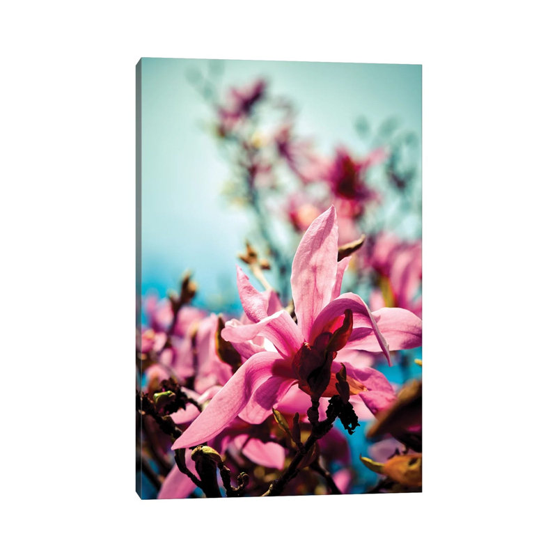 Silver Lining 1 Piece Wrapped Canvas Wall Art, 66.04 cm H x 45.72 cm W