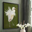 Heron Plumage I, reproduction encadrée - bois massif-451309340-451309341