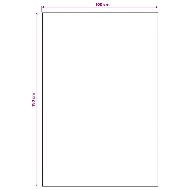 100cm X 150cm Area Rug