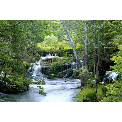Forêt enchantée