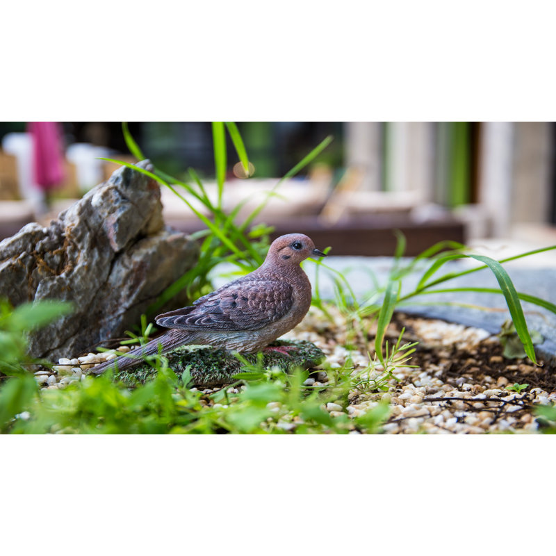Mourning Dove On Grass Garden Statue