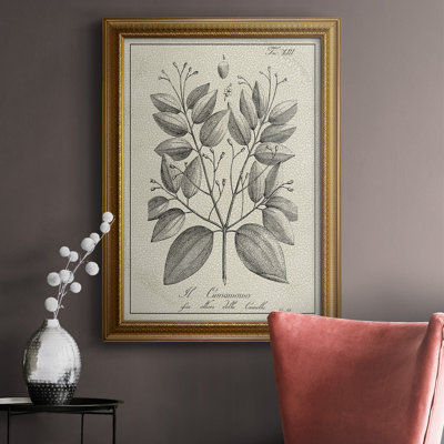 Toile encadrée botanique antique noire et blanche de qualité supérieure - prête à être accrochée