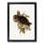 Black Framed selected