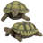 Gilbert, the Box Turtle Statue