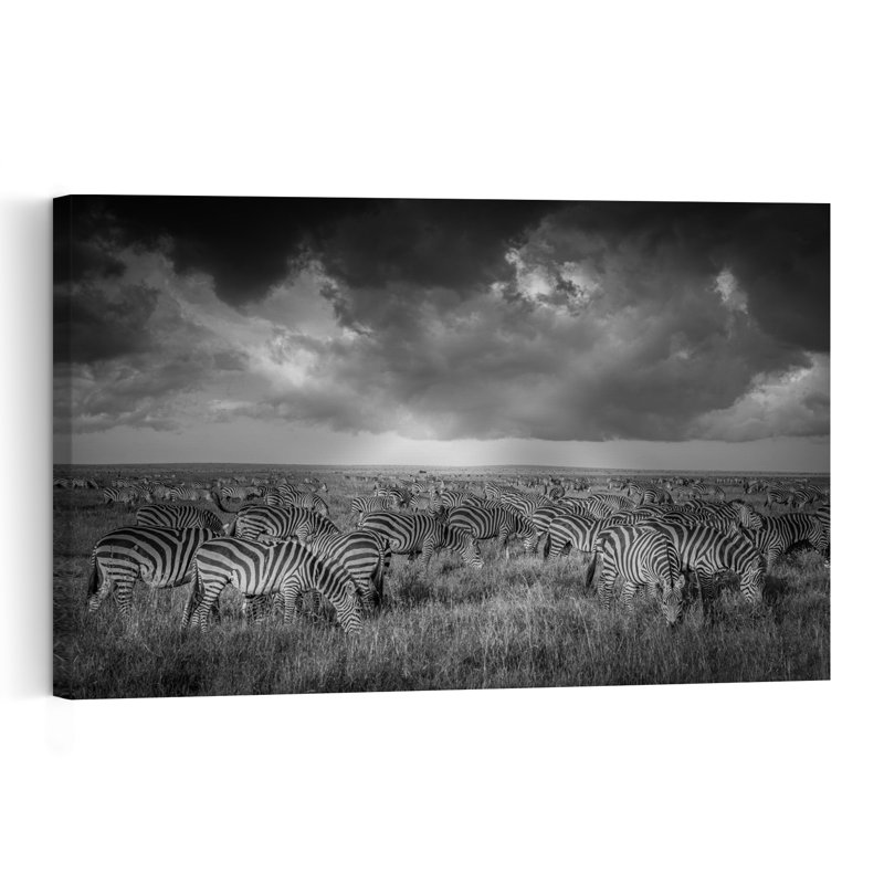 Zebras Under Storm Clouds Dramatic Abstract Contemporary Zebra Landscape Nature Wall Art Print by Jeffrey C. Sink - 1 Piece Wrapped Canvas Wall Art