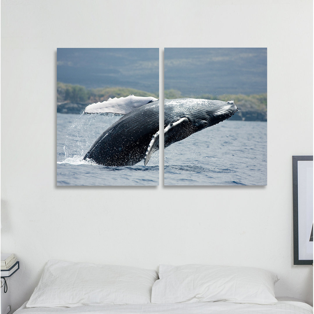 Humpback Whale Diptych - 2 Piece Wrapped Canvas Photograph Print Set
