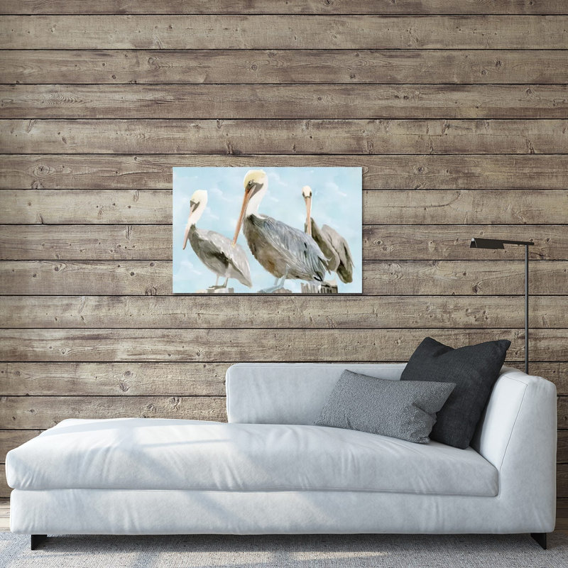 «Soft Soft Pelican III» par Stellar Design Studio - impression non encadrée, H 16 po x l 24 po x P 0,25 po