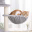 152cm H Cat Tree-755674012