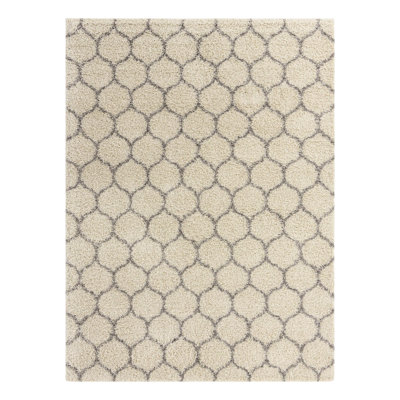 Geometric Indoor Rug