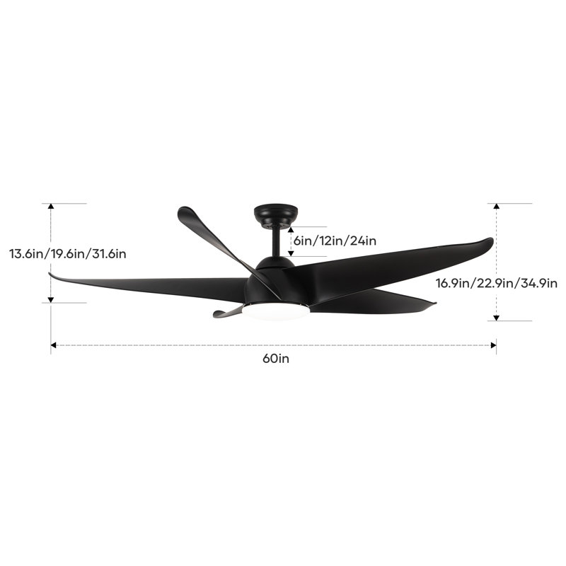 60'' Ceiling Fan With Light
