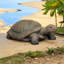 Statues de jardin | Statue de tortue en béton 34,2 "réaliste pour porche de jardin | Brun clair | Ciment béton