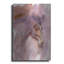 «Expressive Equine» par Robert Campbell-25731660