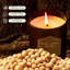Juniper, Lavender Scented Jar Candle