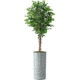75'' Faux Ficus Tree in Pot
