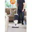 Sebo Upright Vacuum