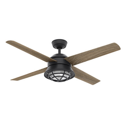 54" Seafarer 4 - Blade Outdoor Standard Ceiling Fan with Wall Control and Light Kit Included