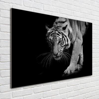 Tiger - No Frame Print on Glass