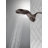 Multi Function Dual Shower Head with TouchClean-49367579