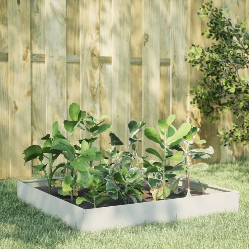 Caylub Metal Raised Garden Bed, 26cm H x 100cm W x 100cm D, White