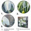Snowdrops Floral Serenity II-66744794-66744795