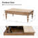 Aristidh Rectangular Lift Top Coffee Table with Storage Shelf