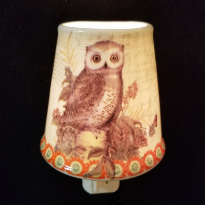 Owl Night Light