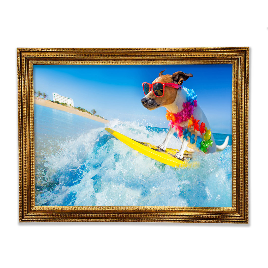 Hund mit Sonnenbrille beim Surfen - Druck