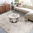 Lefkothea Joy Vintage Beige Ivory Machine Washable Area Rug-112290410