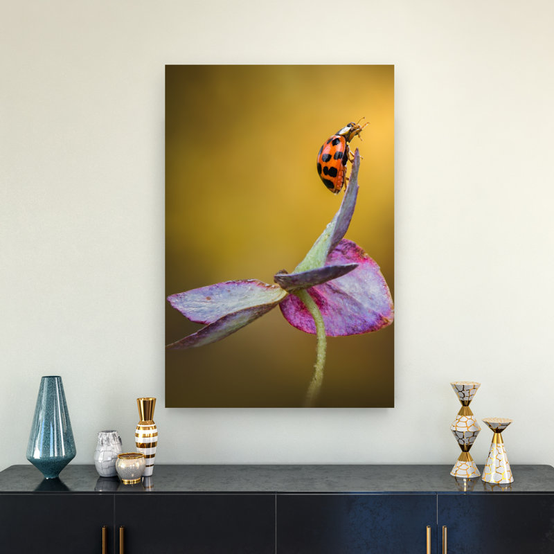 Vibrant Ladybug Perch Delicate Vibrant Contemporary Ladybug Nature Plant Wall Art Print 1 Piece Wrapped Canvas Wall Art
