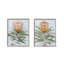 Protea Watercolor Prints in Wood Frames