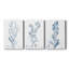 Antique Botanical in Blue I  -Custom Wrapped Gallery Canvas - 3 Pieces-1600490539