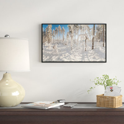 " Winter Snow Covered Wood "