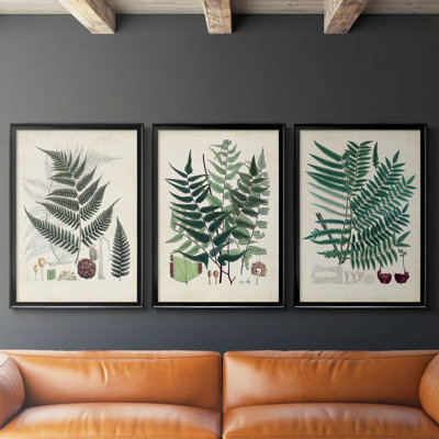 Collectionner Ferns VI - Toile tendue avec châssis sur mesure - 3 pièces