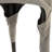 Upholstered Side Chair
