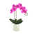 Fuchsia/Pink selected