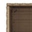 Garden Storage Cabinet 50X55x115 Cm Poly Rattan-547737715