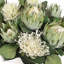 Centre de table Uttermost Protea Blooms