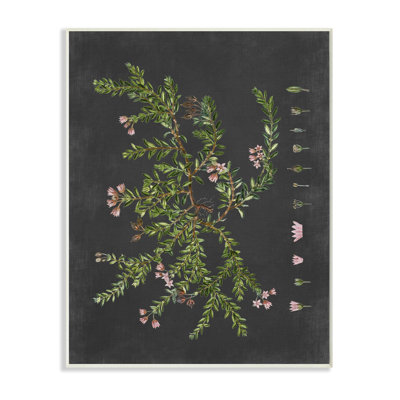 «Botanical Dessin Flower Pink On Black Design», impression
