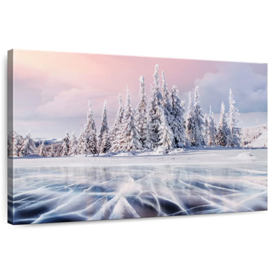 Alvord Spruce Winter Forest