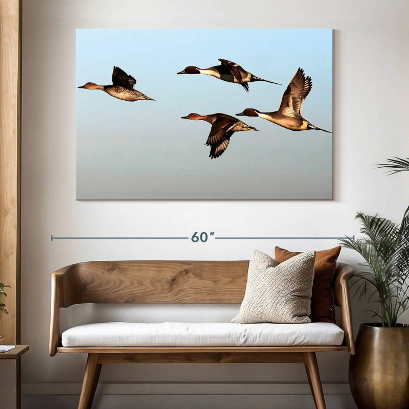 Pintail Ducks, H 34 po x l 51 po