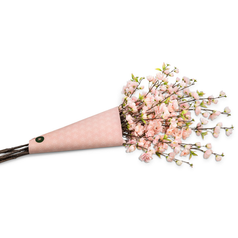 Cielo Cherry Blossom Bundle