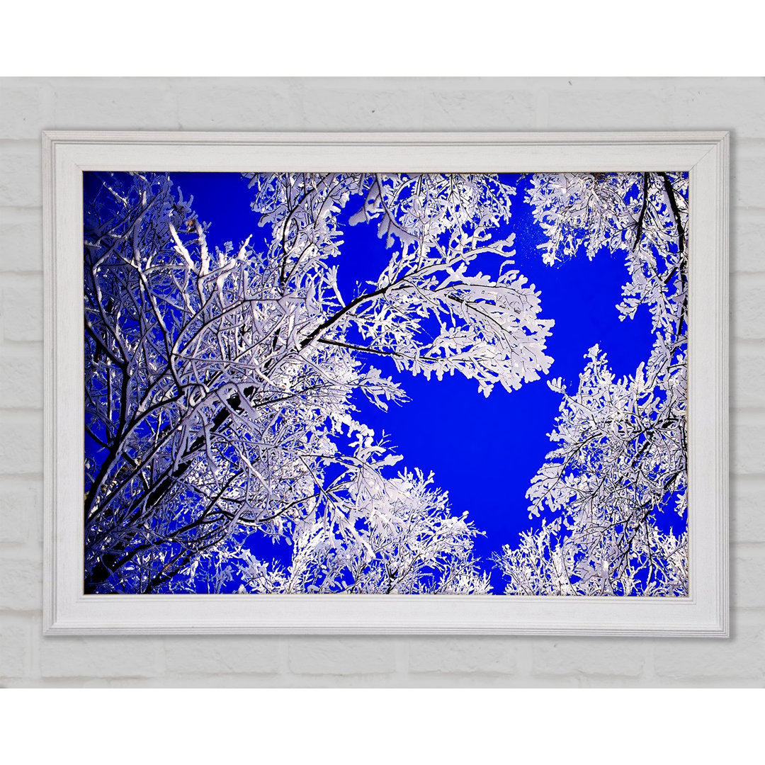 Gerahmtes Poster Winter Ice Tree In Sunlight